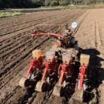 小麦の種まき始めました。毎年恒例です。今年は種類が多い。ちょっと忙しいかな？